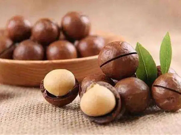 淺談中國(guó)堅果行(xíng)業(yè)的(de)現(xiàn)狀